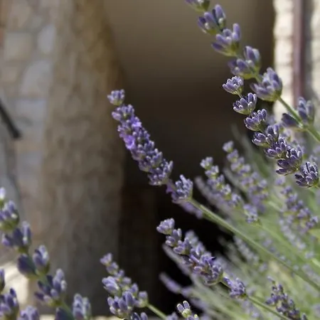 Appartement Fox Cavtat